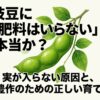 枝豆に肥料はいらないは本当か？実が入らない原因と大豊作のための育て方を示すタイトル画像