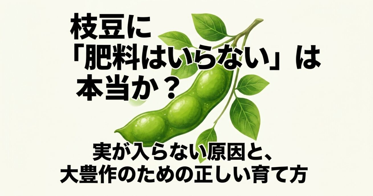 枝豆に肥料はいらないは本当か？実が入らない原因と大豊作のための育て方を示すタイトル画像