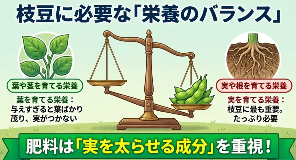 葉や茎を育てる栄養の与えすぎによるつるぼけに注意し、実を太らせる成分を重視することを示すイラスト