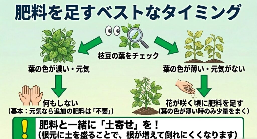 葉の色が濃く元気な場合は追肥不要、色が薄い場合は花が咲く頃に肥料と土寄せを行うという判断基準