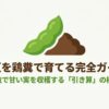 枝豆と鶏糞のイラスト。大粒で甘い実を収穫する「引き算」の極意。