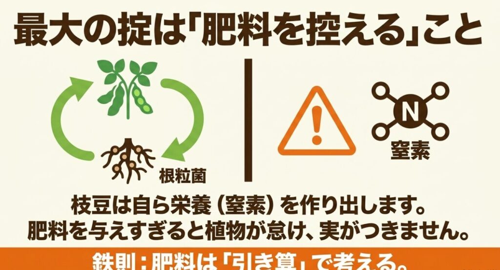 最大の掟は「肥料を控える」こと。枝豆は根粒菌によって自ら窒素を作り出すため、肥料を与えすぎると植物が怠け実がつかないという引き算の鉄則。