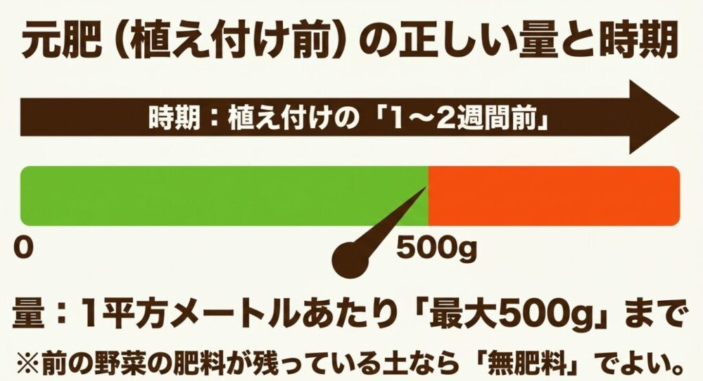 元肥の正しい量と時期。植え付けの1〜2週間前に、1平方メートルあたり最大500gまで与える。前の野菜の肥料が残っている土なら無肥料でよい。