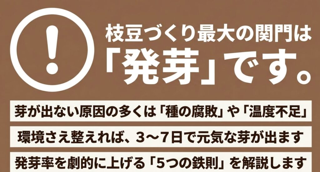 枝豆づくり最大の関門である発芽の原因と対策