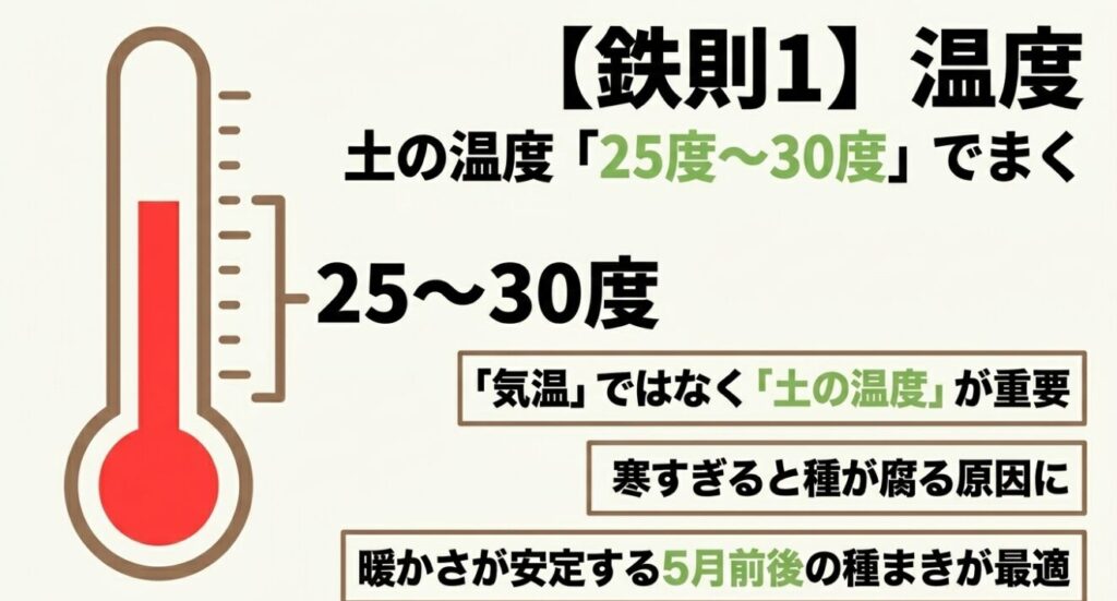 枝豆の発芽に適した土の温度は25度から30度