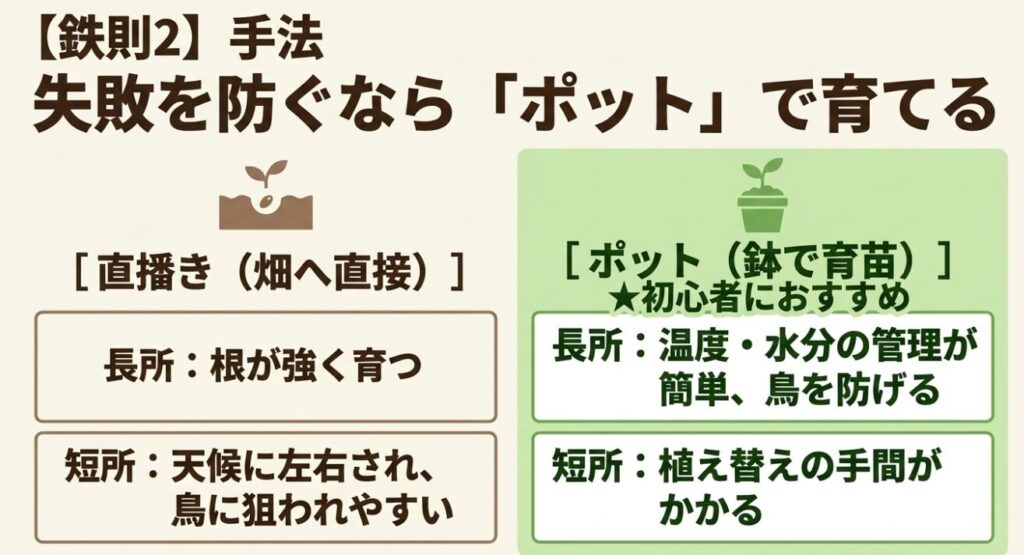 枝豆のポット育苗と直播きのメリット・デメリット比較