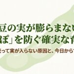 枝豆の実が膨らまない空莢（あきさや）を防ぐための確実な育て方と対策