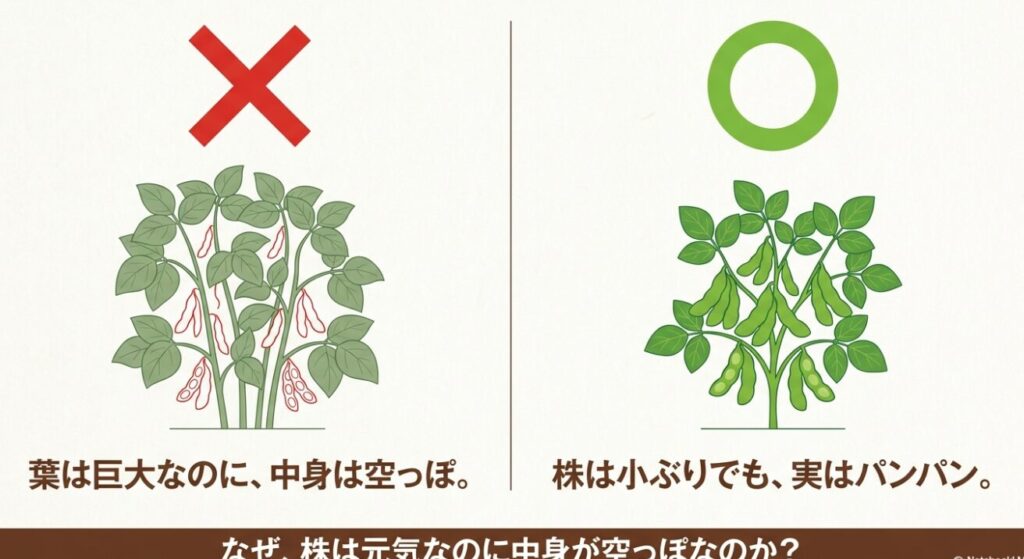 葉ばかりが茂って実が入らない「つるボケ」の枝豆と、小ぶりでも実がパンパンに詰まった正常な枝豆の比較イラスト