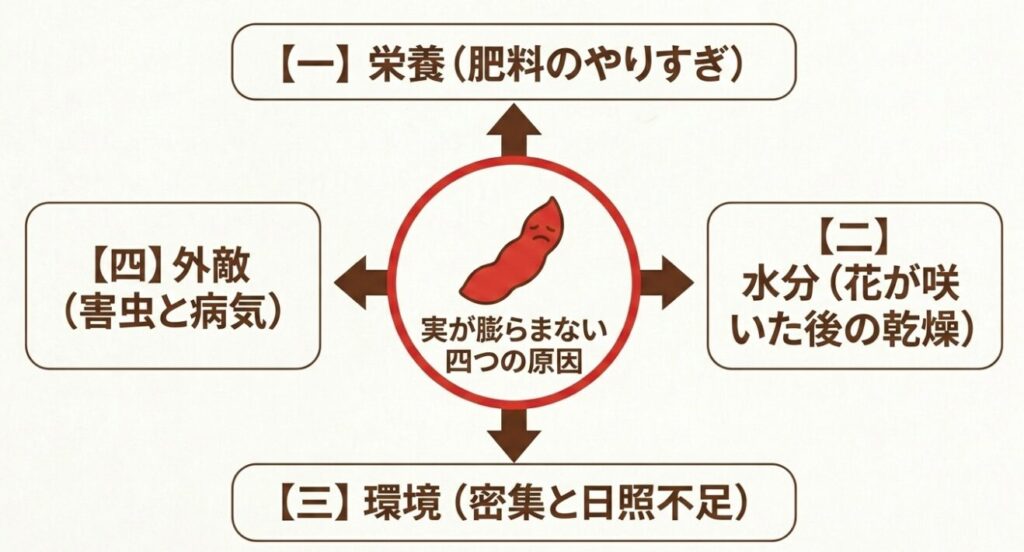 枝豆の実が膨らまない4つの主な原因(肥料のやりすぎ、水分不足、密集による日照不足、害虫と病気)