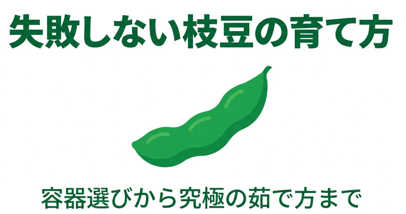 失敗しない枝豆の育て方・容器選びから究極の茹で方まで