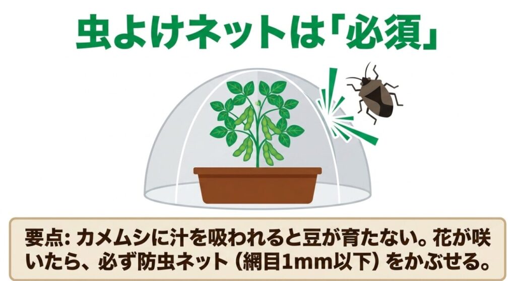 枝豆をカメムシから守るために花が咲いたら必須の虫よけネットをかぶせる