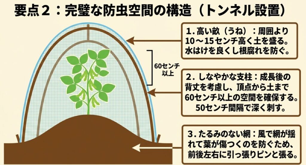 10から15センチの高い畝と、頂点から土まで60センチ以上の空間を確保した防虫トンネルの完璧な構造