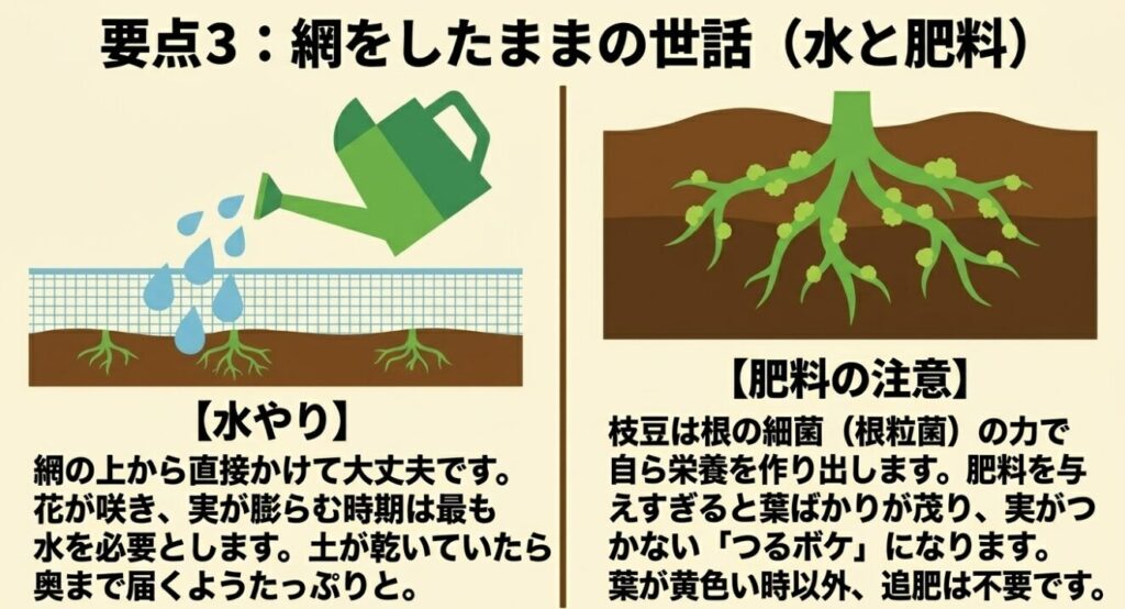網の上から直接かける水やりと、自ら栄養を作り出す根粒菌の働き