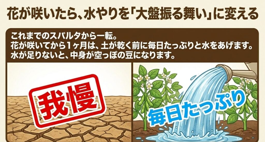 枝豆の花が咲いたら水やりを我慢から大盤振る舞いに変え、1ヶ月間は土が乾く前に毎日たっぷりと与える