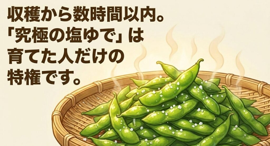 収穫から数時間以内の究極の塩ゆでは、枝豆を育てた人だけの特権