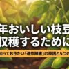 枝豆の連作障害の原因と5つの防ぎ方をまとめたスライド資料の表紙