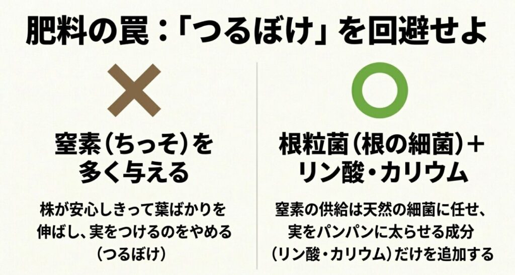 窒素の与えすぎによるつるぼけを防ぎ、リン酸とカリウムで実を太らせる肥料の罠