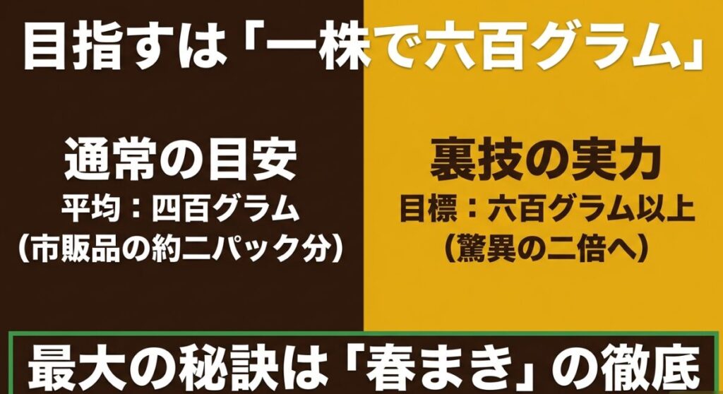 枝豆の平均的な収穫量400gと、裏技で目指す驚異の2倍（600g以上）の目標値