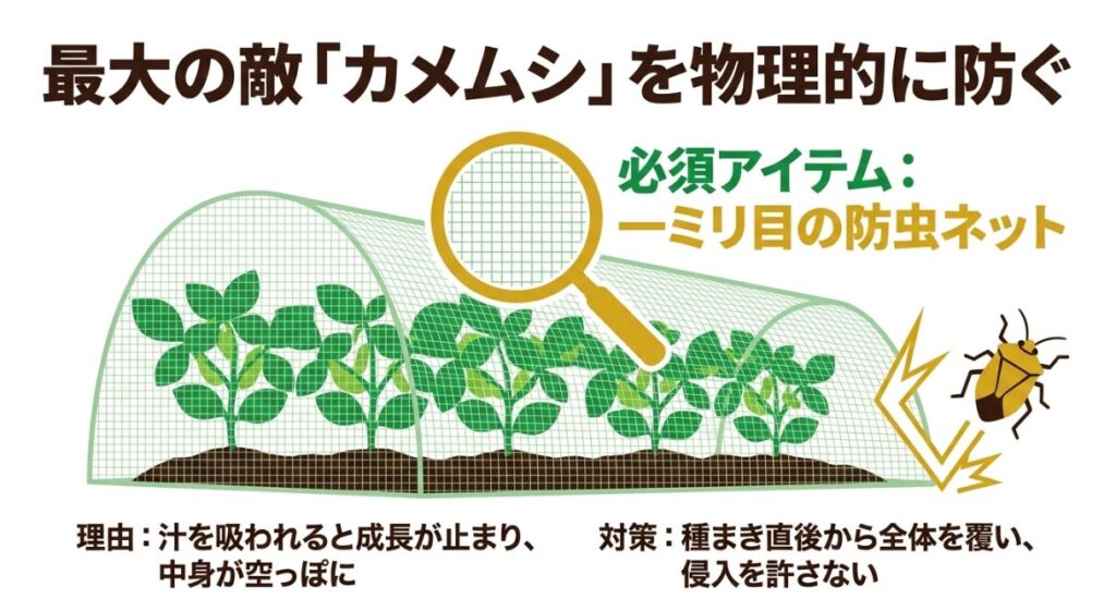 汁を吸われて中身が空っぽになるのを防ぐため、種まき直後から全体を覆う1ミリ目の防虫ネット