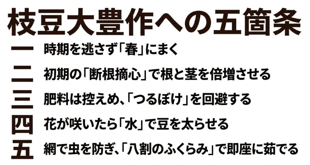 春まき、初期の断根摘心、控えめな肥料でのつるぼけ回避、開花後の水やり、防虫ネットと八割のふくらみでの即座の茹で上げという5つのポイント