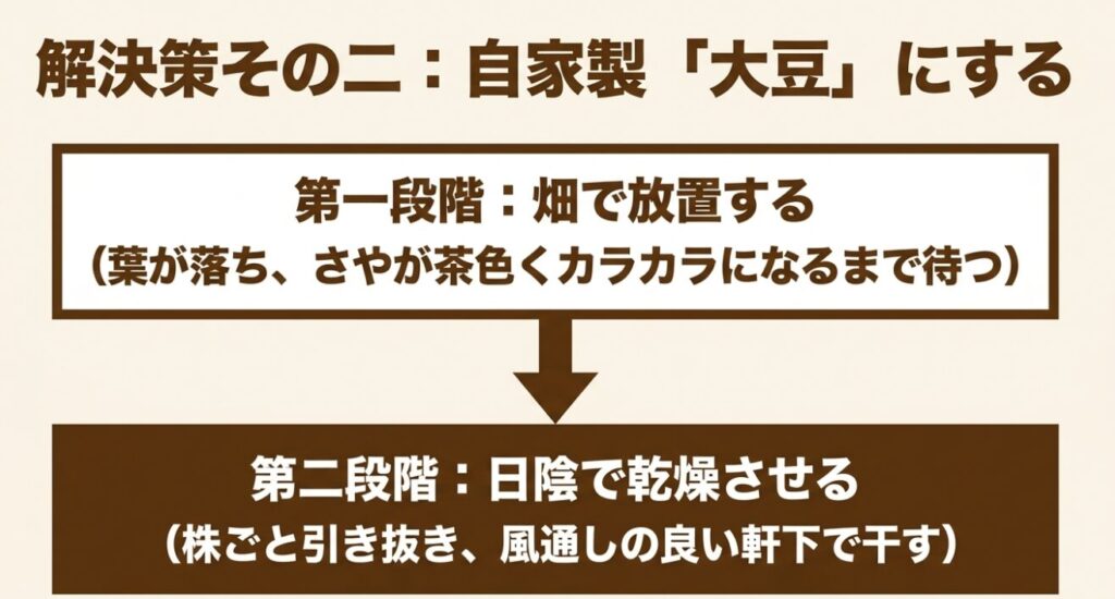 第一段階は葉が落ちさやが茶色くなるまで畑で放置する。第二段階は株ごと引き抜き日陰で乾燥させる。