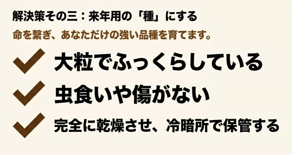 来年用の種にする条件。大粒でふっくらしている、虫食いや傷がないものを完全に乾燥させ、冷暗所で保管する。