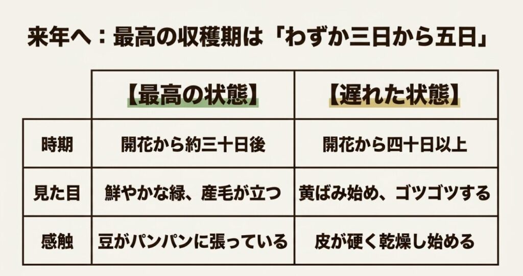 最高の収穫期はわずか三日から五日。最高の状態と遅れた状態の時期、見た目、感触の比較表。