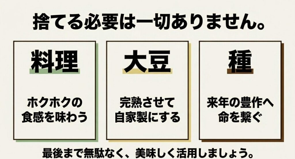 捨てる必要は一切ありません。料理、大豆、種として、最後まで無駄なく美味しく活用しましょう。