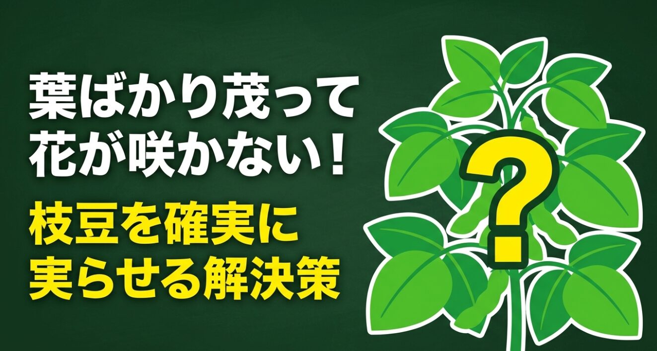 枝豆の花が咲かない原因と確実な解決策のタイトルスライド