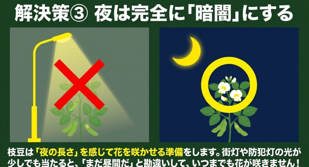夜間の街灯など明るい照明が枝豆の開花を妨げる光害の図解