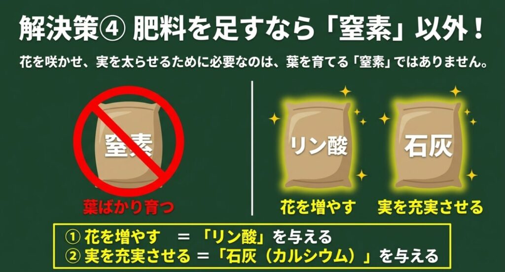 枝豆の開花と結実に必要なリン酸と石灰（カルシウム）の役割