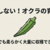 失敗しないオクラの育て方。初心者でも柔らかく大量に収穫できる法則のタイトル画像。