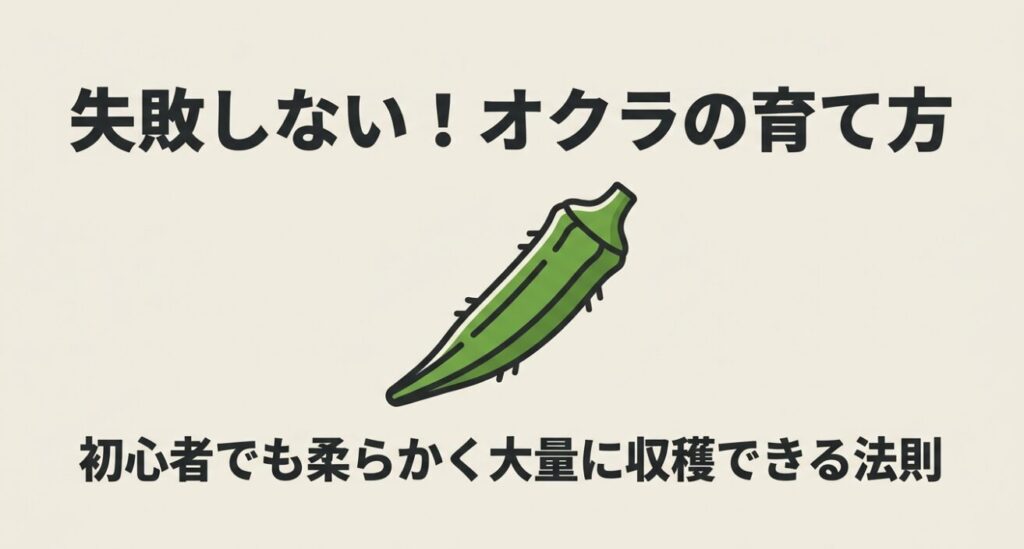 失敗しないオクラの育て方。初心者でも柔らかく大量に収穫できる法則のタイトル画像。