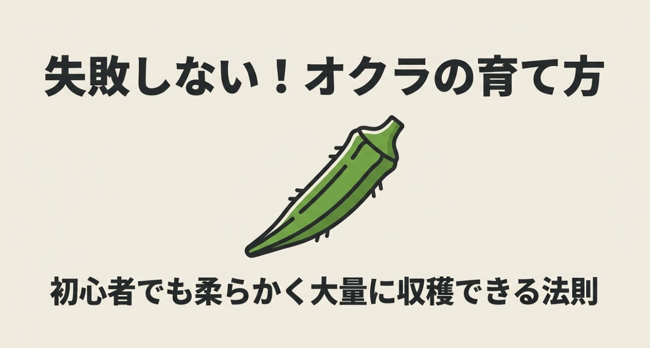 失敗しないオクラの育て方。初心者でも柔らかく大量に収穫できる法則のタイトル画像。