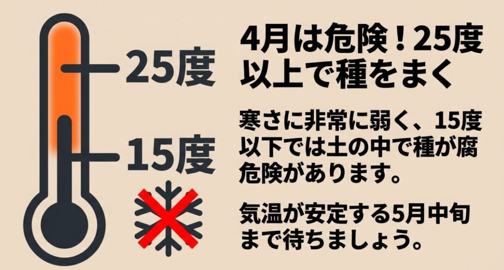 失敗しないオクラの育て方。初心者でも柔らかく大量に収穫できる法則のタイトル画像。