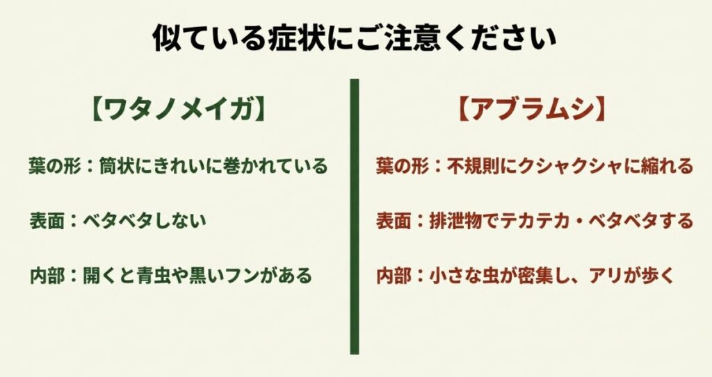 ワタノメイガとアブラムシによる被害症状や葉の形の違いの見分け方