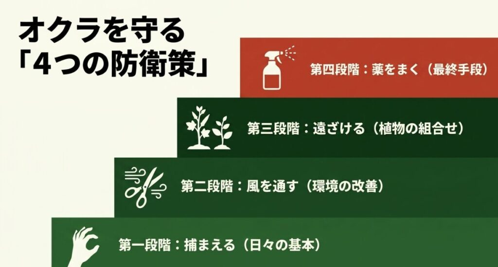 丸まった葉を見つけてちぎり、踏みつぶすワタノメイガの捕殺手順
