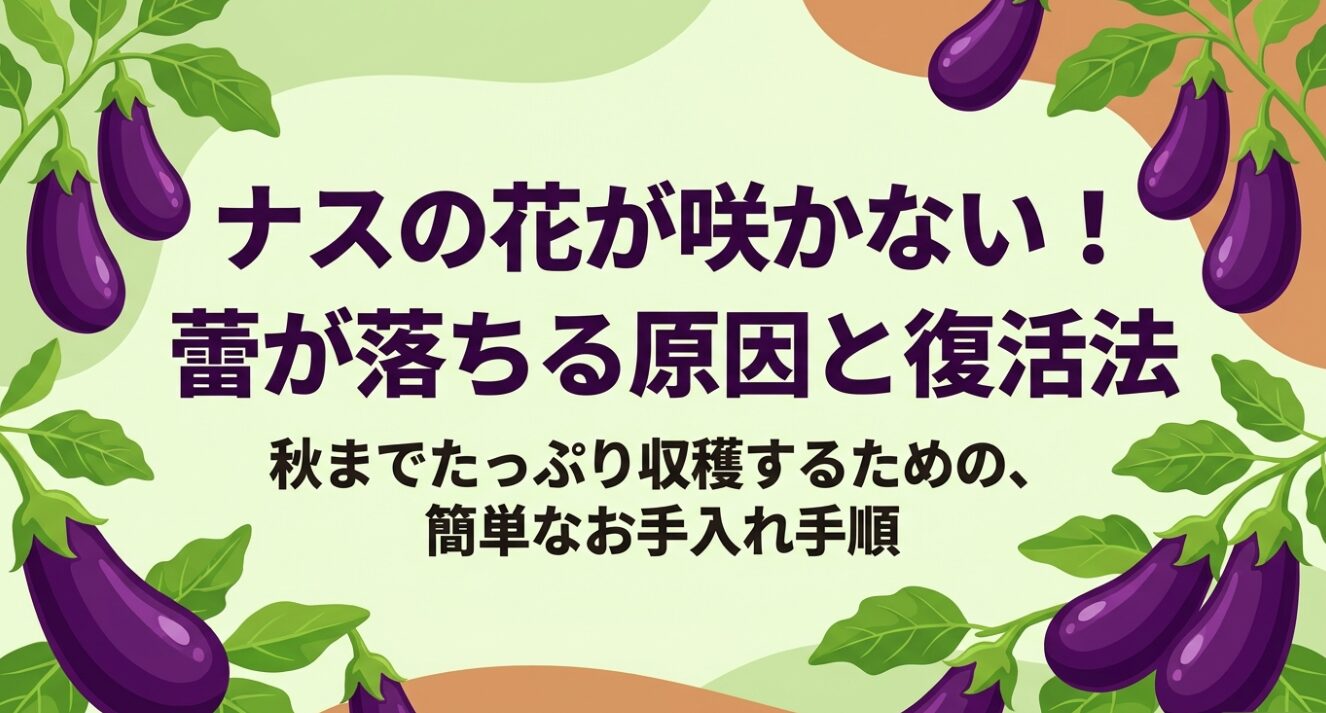 ナスの花が咲かない原因と秋までたっぷり収穫するための簡単なお手入れ手順を示す表紙スライド