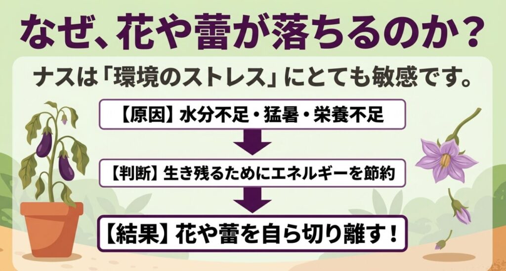 水分不足や猛暑などの環境ストレスにより、ナスが生き残るためにエネルギーを節約し、花や蕾を自ら切り離す仕組み