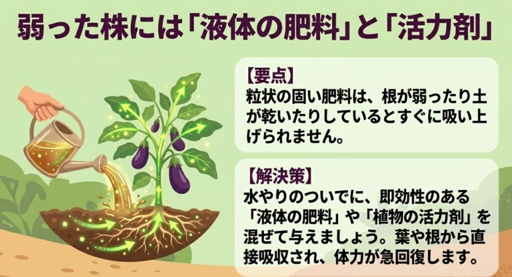 弱ったナスの株に対して、即効性のある液体肥料や植物の活力剤を水やりのついでに与えて体力を急回復させる方法