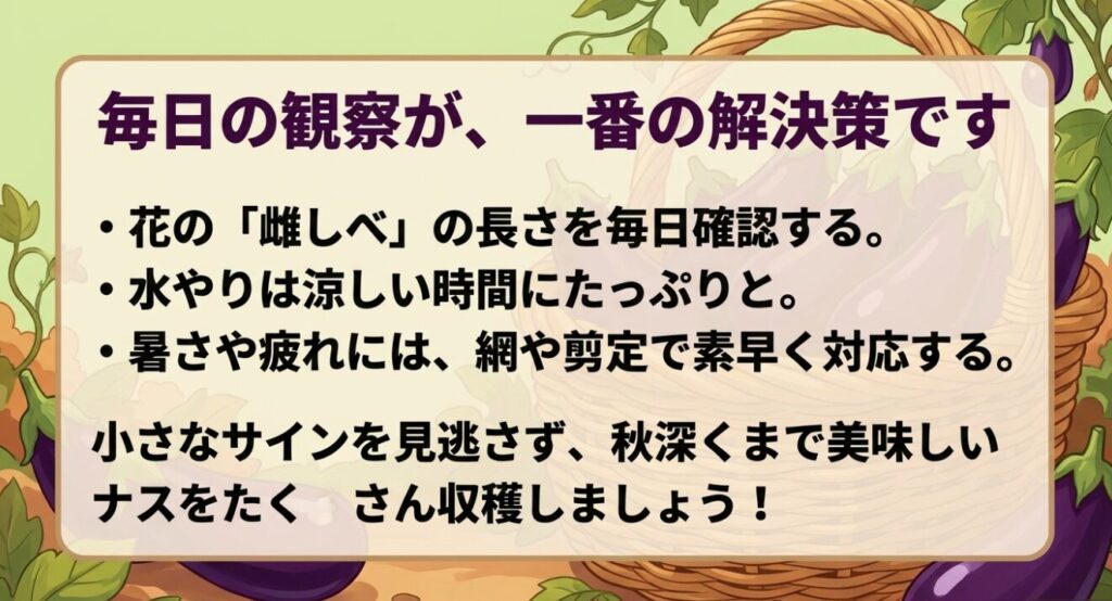 雌しべの長さの確認、涼しい時間の水やり、暑さ対策など、ナスの花を咲かせ秋深くまで美味しい実を収穫するための毎日の観察ポイント