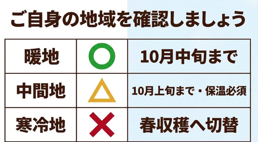 ブロッコリー10月定植の地域別目安（暖地・中間地・寒冷地）
