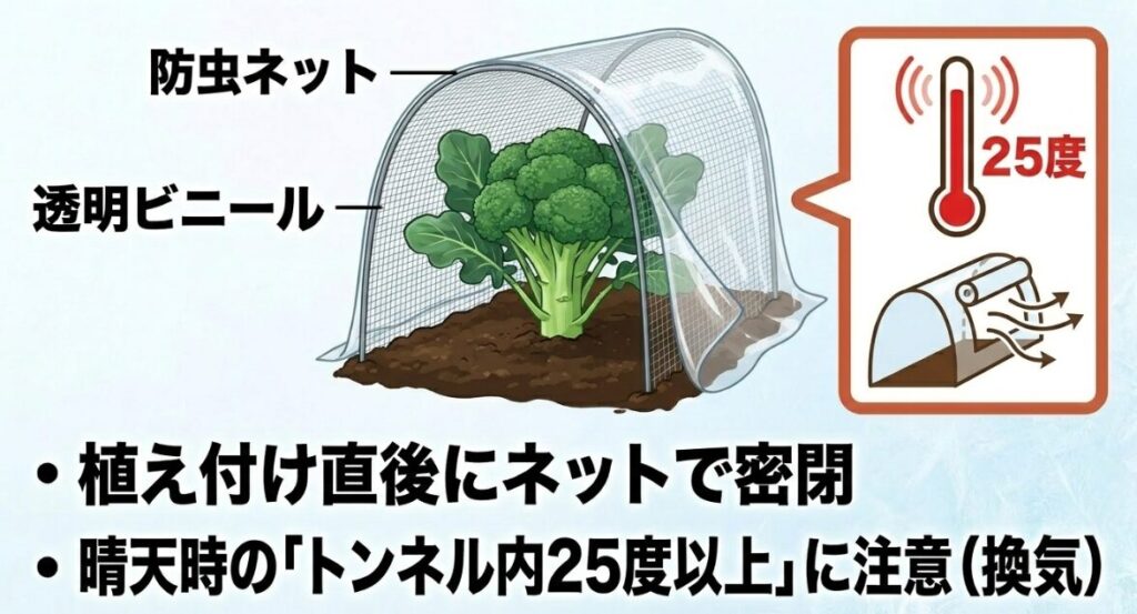 ブロッコリーの温度管理（防虫ネットや透明ビニールで密閉しつつ、トンネル内25度以上は換気）