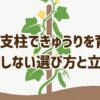 100均の支柱を使ったきゅうり栽培の失敗しない選び方と立て方