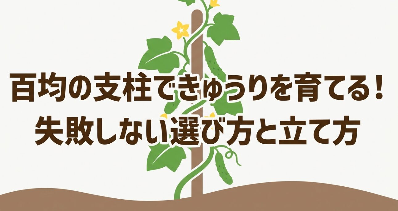 100均の支柱を使ったきゅうり栽培の失敗しない選び方と立て方