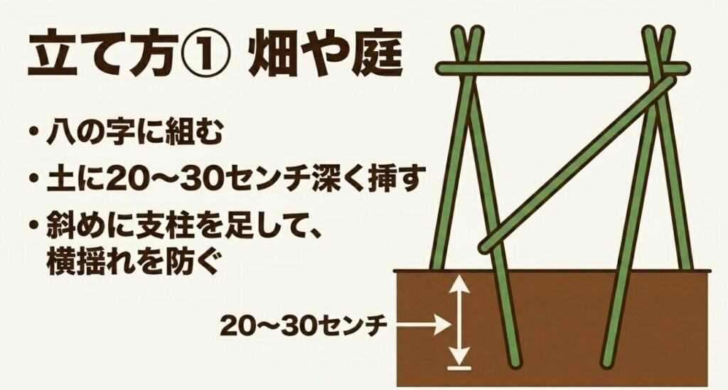畑や庭でのきゅうり支柱の立て方。八の字に組み、土に20から30センチ深く挿し、斜めに支柱を足して横揺れを防ぐ