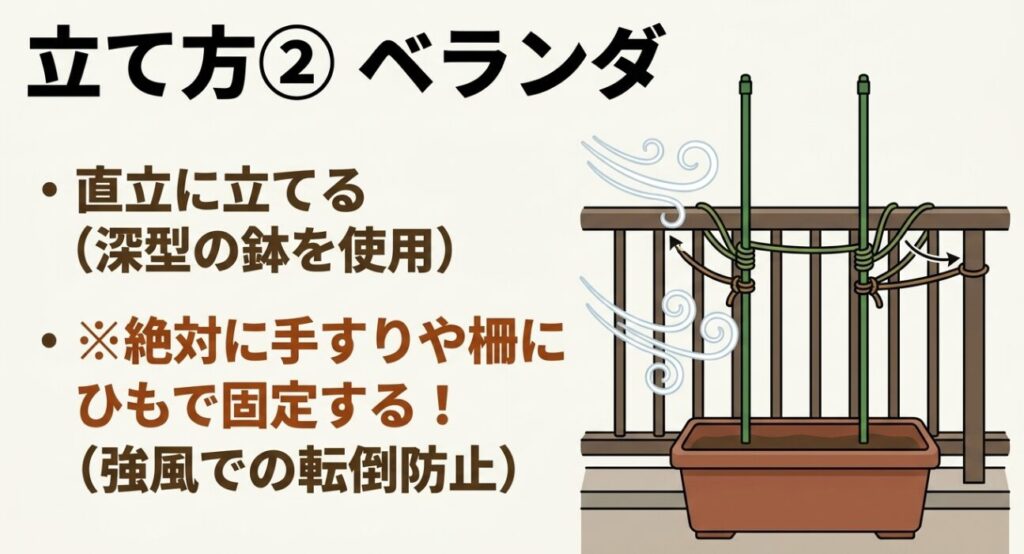 ベランダでのきゅうり支柱の立て方。深型の鉢を使用し、手すりや柵にひもで絶対に固定して強風での転倒を防ぐ