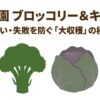 家庭菜園ブロッコリー＆キャベツ 虫食い・失敗を防ぐ大収穫の極意