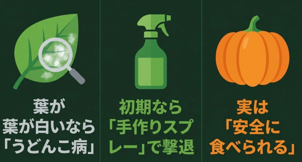 葉が白いならうどんこ病、初期なら手作りスプレーで撃退、実は安全に食べられることを示すスライド