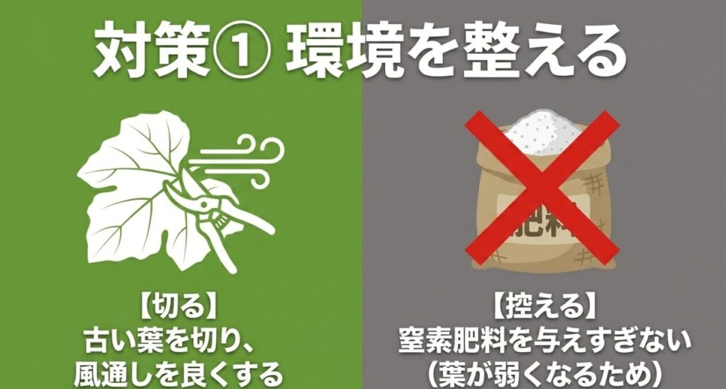 うどんこ病の環境対策として、古い葉を切って風通しを良くし、窒素肥料を与えすぎないようにすることを示すスライド